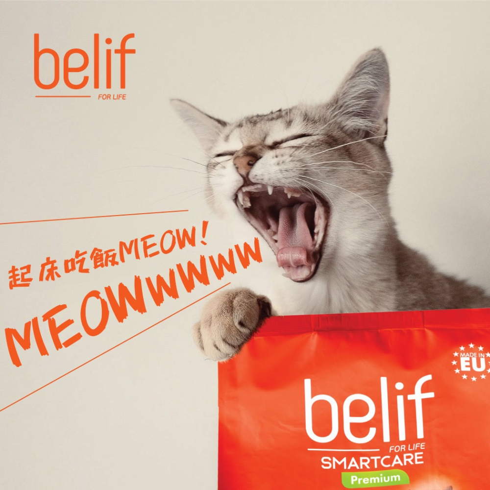 威哥寵物 比利夫 belif 貓糧 貓咪飼料 貓飼料 成貓 幼貓 化毛 泌尿 2.5kg 3kg-細節圖2