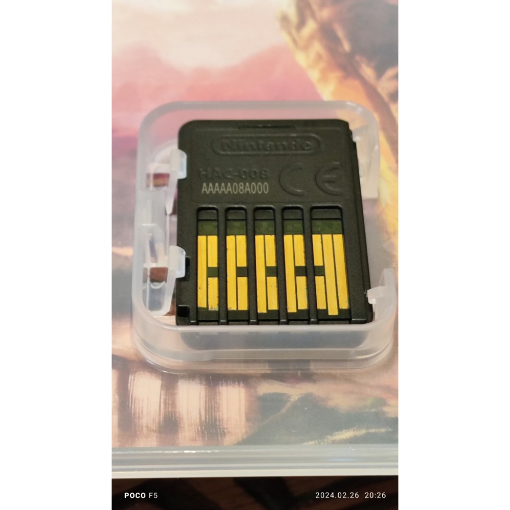 薩爾達曠野之息-細節圖2