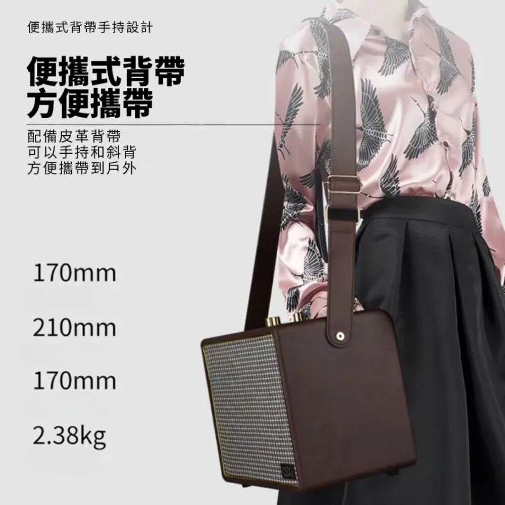 英倫復古移動音響KTV 美聲麥克風 KTV音響頂奢款-細節圖2