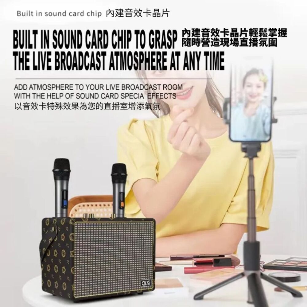 英倫復古移動音響KTV 美聲麥克風 KTV音響頂奢款-細節圖3