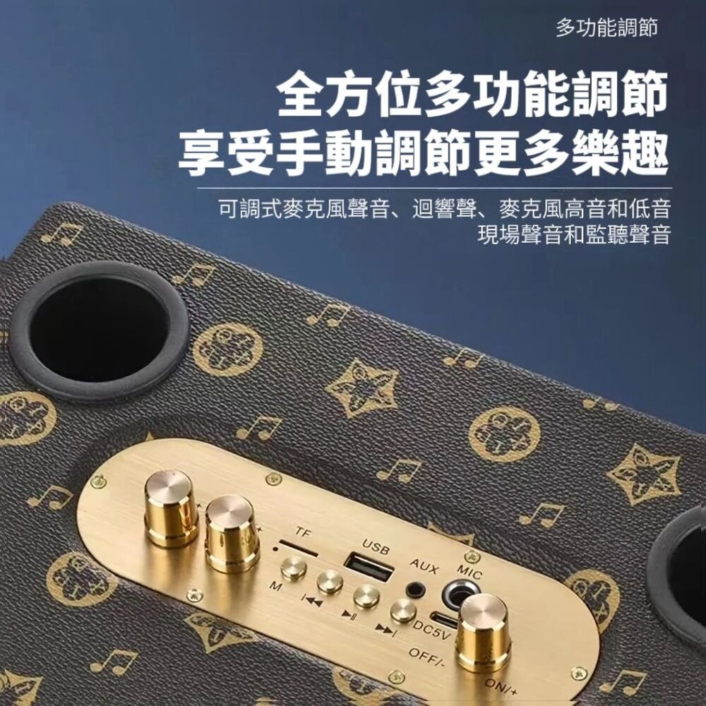 英倫復古移動音響KTV 美聲麥克風 KTV音響頂奢款-細節圖5