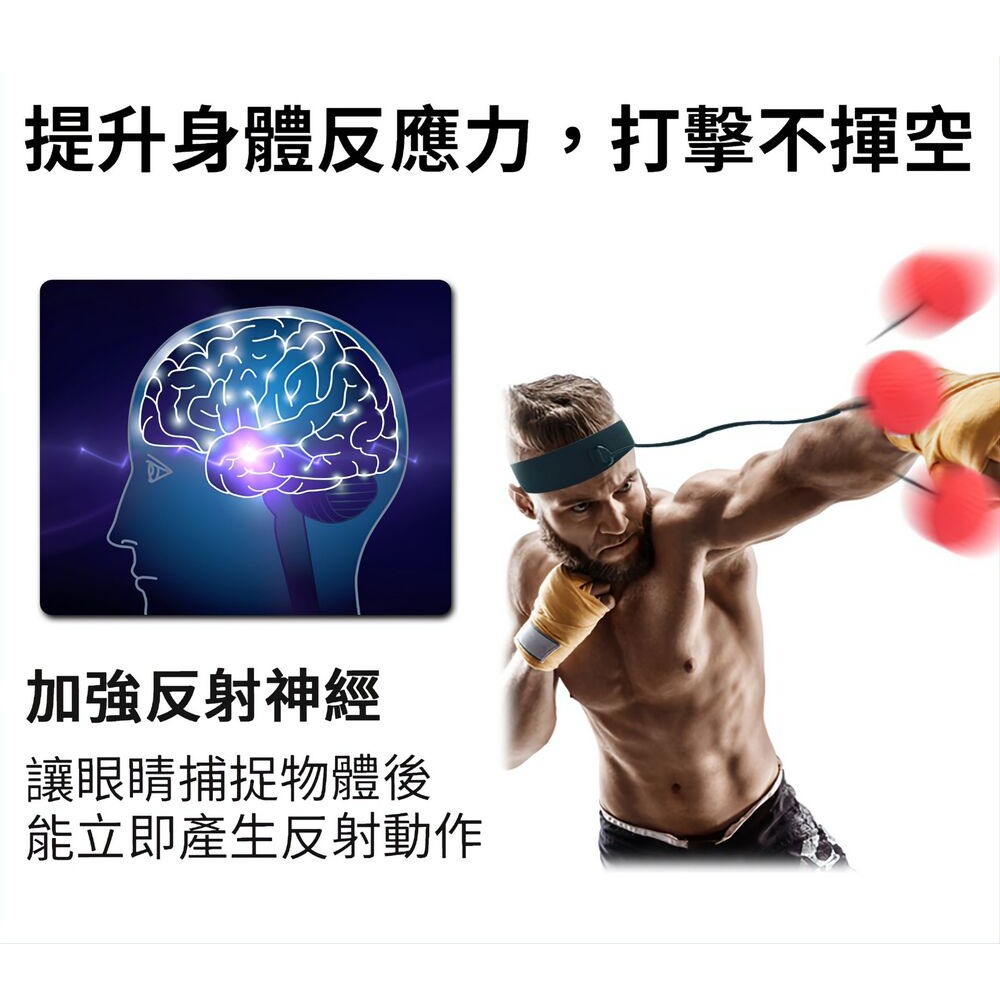 【拳拳到肉】自虐式拳擊訓練球 強化三大肌群 訓練反射神經-細節圖7