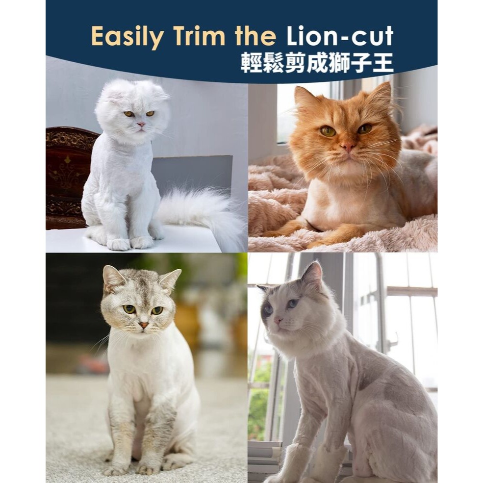 無線手持寵物毛髮修剪器 3小時快充 續航50分鐘-細節圖11