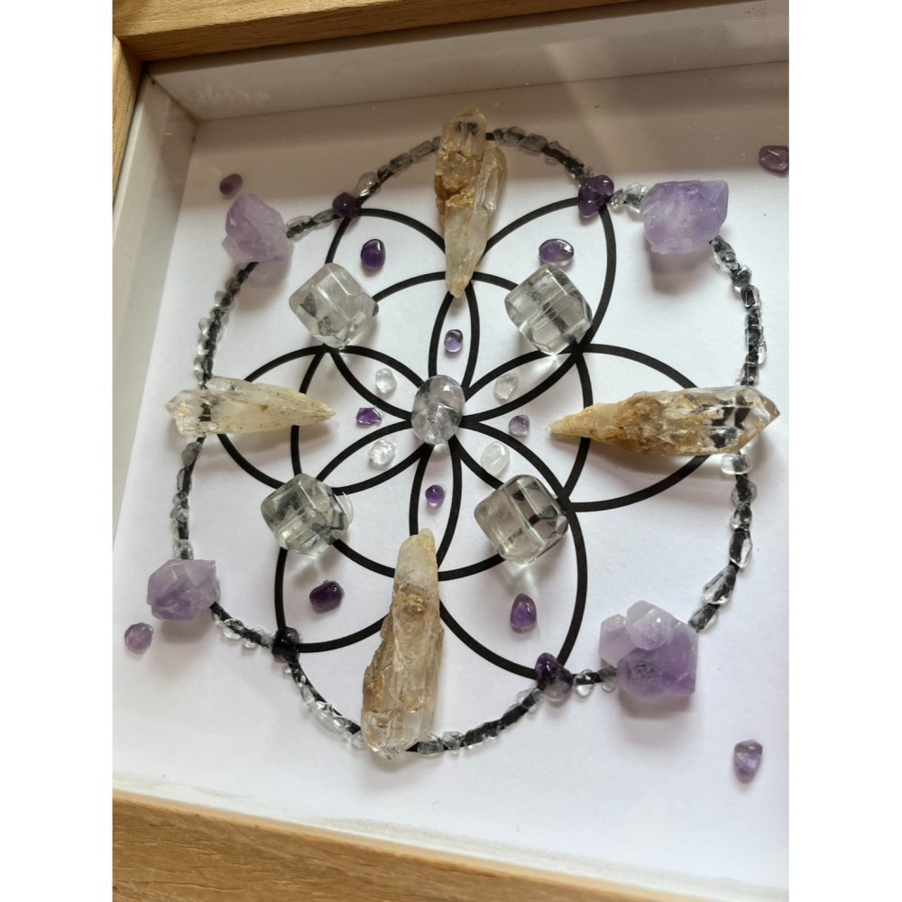 A《啟源之種｜生命種子能量組》-細節圖2