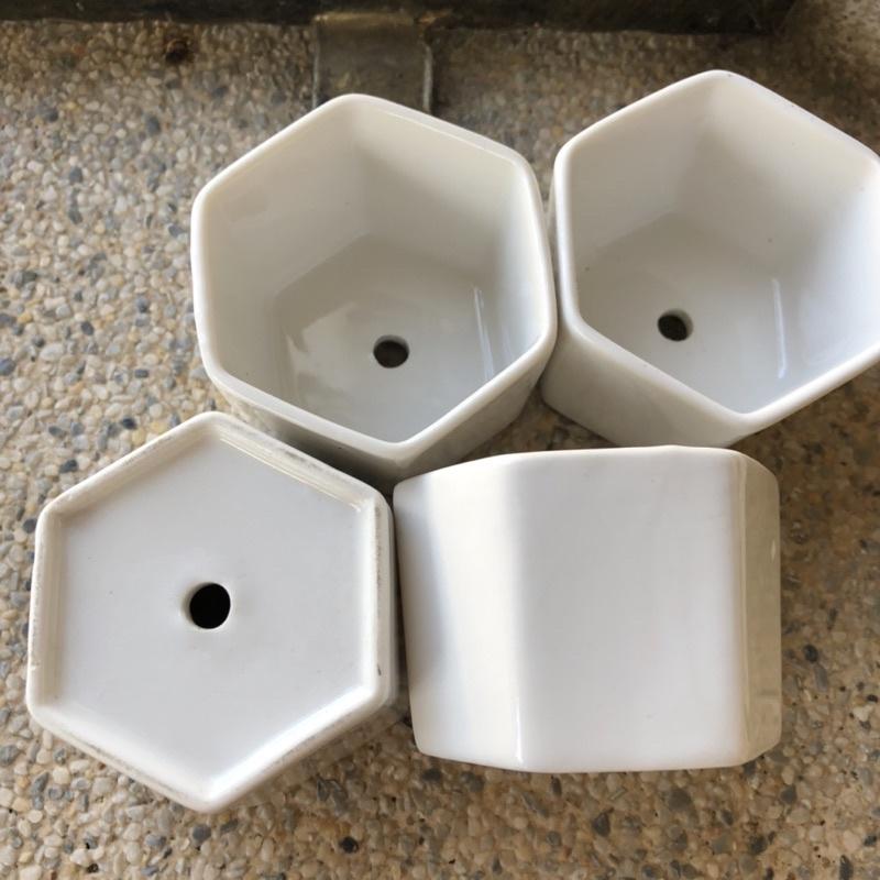 白色 六邊形 六角形 陶瓷盆  簡約花盆 陶瓷 多肉花盆 仙人掌花盆 白盆 盆器 花器簡約白盆 花盆-細節圖2