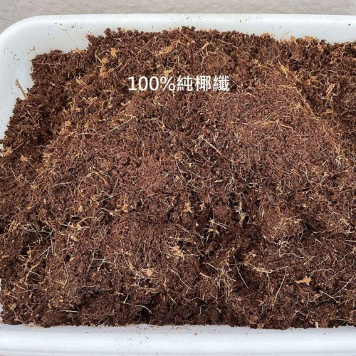 椰纖土 1L 200g～250g 植物 介質 多肉介質 盆底 椰子纖 椰塊 龜背芋 多肉 竹芋 蔓綠絨