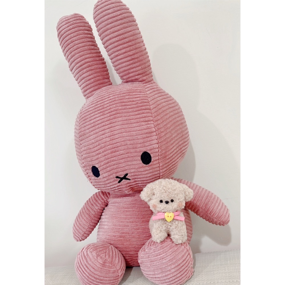 扭扭棒小狗 成品 可愛 小物 毛絨絨 禮物 擺件 療癒 裝飾-細節圖5