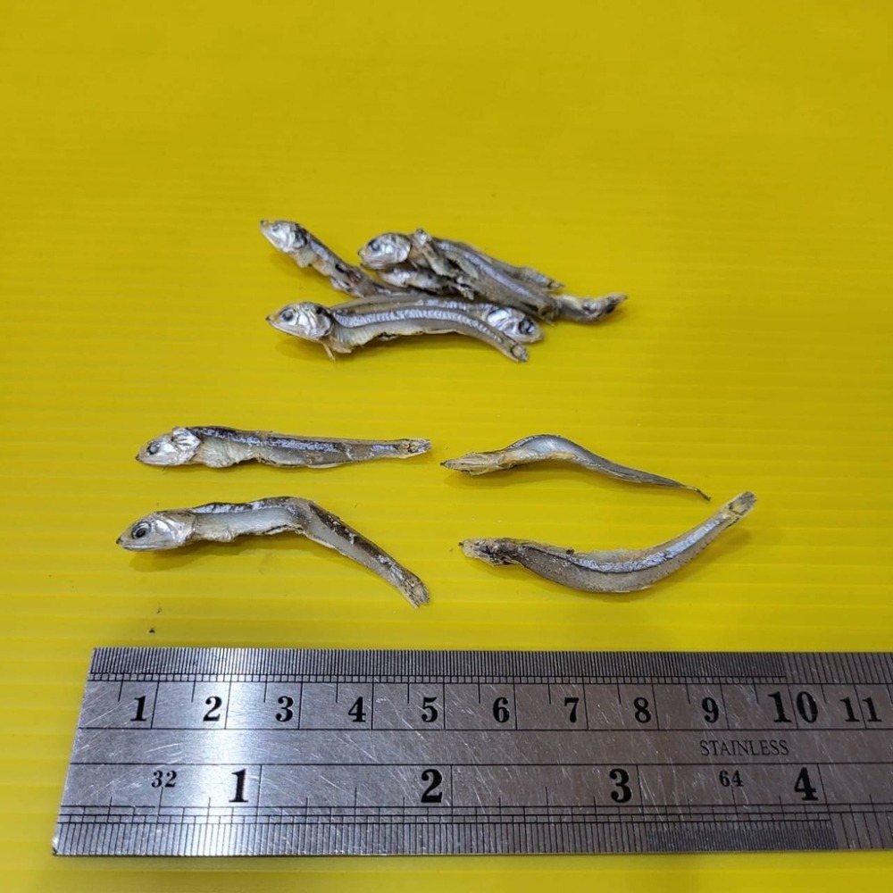 【金海湘商行】鱙魚乾 堯仔魚乾 小魚乾 寮仔魚 2-3cm-細節圖2