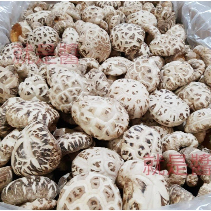 【金海湘商行】特級天白花菇 300g∣600g 厚實、Q彈 A1韓國白花菇-細節圖3