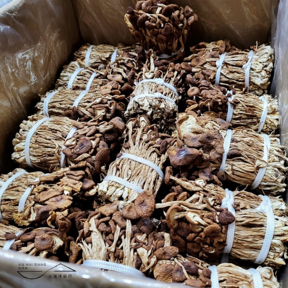 【金海湘商行】茶樹菇（柳松菇） 淨重：200公克 濃郁香氣-細節圖2