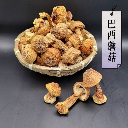 【金海湘商行】巴西蘑菇 姬松茸 100公克~600公克 滿滿多醣體♥