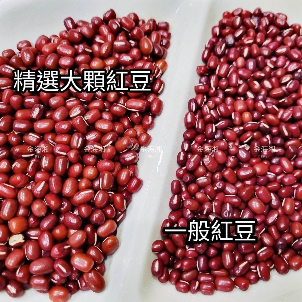 【金海湘商行】特級本產紅豆 大顆 萬丹紅豆 9號履歷紅豆 600公克｜包 豆香濃郁-細節圖3