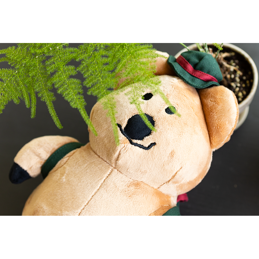 ʜᴀʀᴜᴅᴀɪʟʏ🌙 預購｜Dinotaeng BOBO in the Woods系列玩偶 短尾袋鼠 軟糖小熊 可愛娃-細節圖7