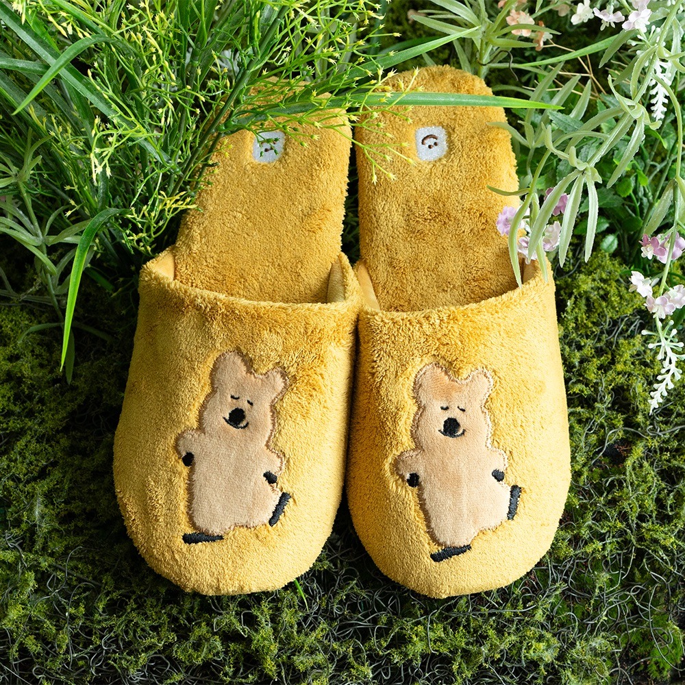 ʜᴀʀᴜᴅᴀɪʟʏ🌙  預購｜韓國文創 DINOTAENG Slippers 室內拖鞋 毛絨拖鞋 冬天室內拖-規格圖6