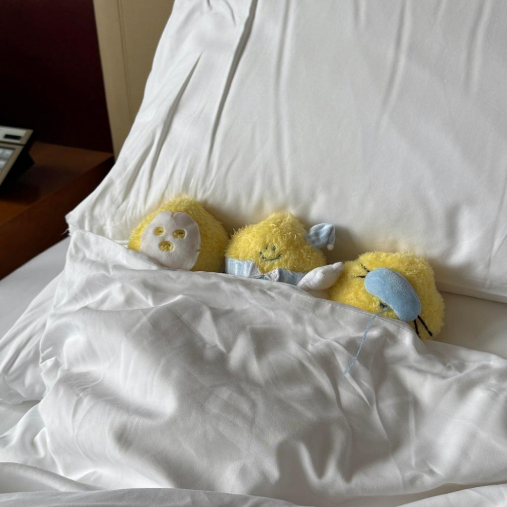 ʜᴀʀᴜᴅᴀɪʟʏ🌙 現貨｜SecondMorning Sleeping Lemony 睡覺檸檬吊飾 盲盒 檸檬吊飾盲盒-細節圖2