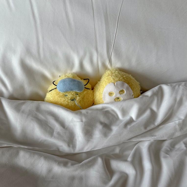 ʜᴀʀᴜᴅᴀɪʟʏ🌙 現貨｜SecondMorning Sleeping Lemony 睡覺檸檬吊飾 盲盒 檸檬吊飾盲盒-細節圖3