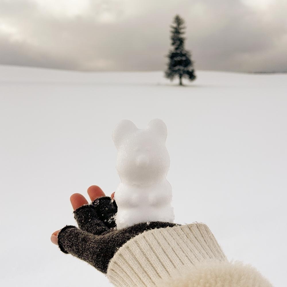 ʜᴀʀᴜᴅᴀɪʟʏ🌟 預購｜Dinotaeng 可愛矮袋鼠Quokka 雪球夾 造型沙灘玩具-細節圖3