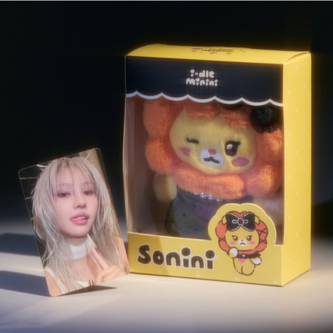 ʜᴀʀᴜᴅᴀɪʟʏ🌙 i-dle minini we are 인형 盒娃 人偶-細節圖4