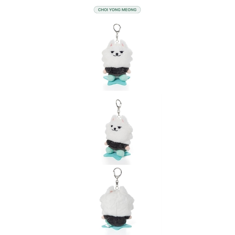 ʜᴀʀᴜᴅᴀɪʟʏ🌙  預購｜TOMORROW X TOGETHER Plush Keyring 造型娃娃吊飾-規格圖3