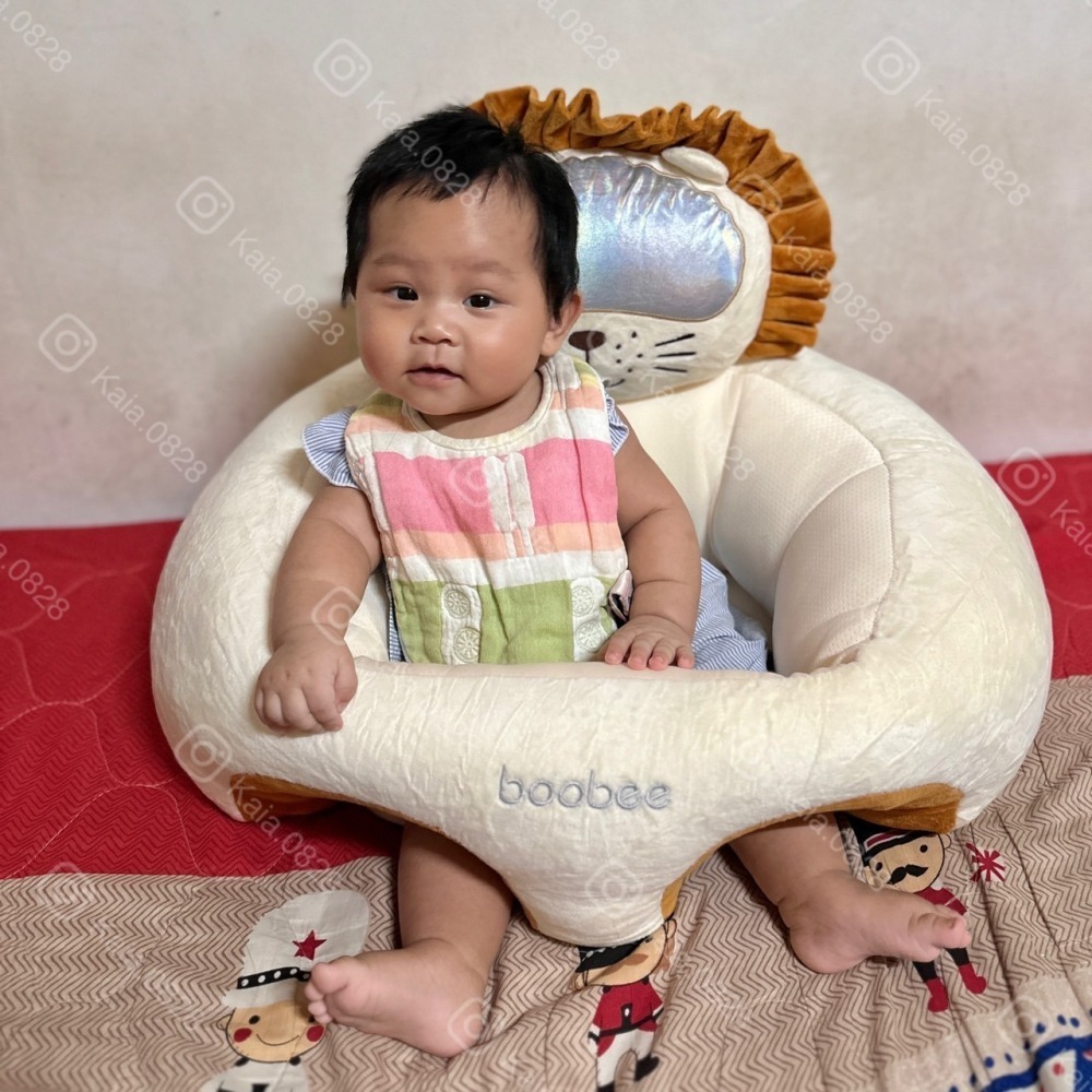 好物分享-嬰兒學座椅-細節圖4