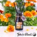 日本品牌John’s Blend 擴香瓶-規格圖5