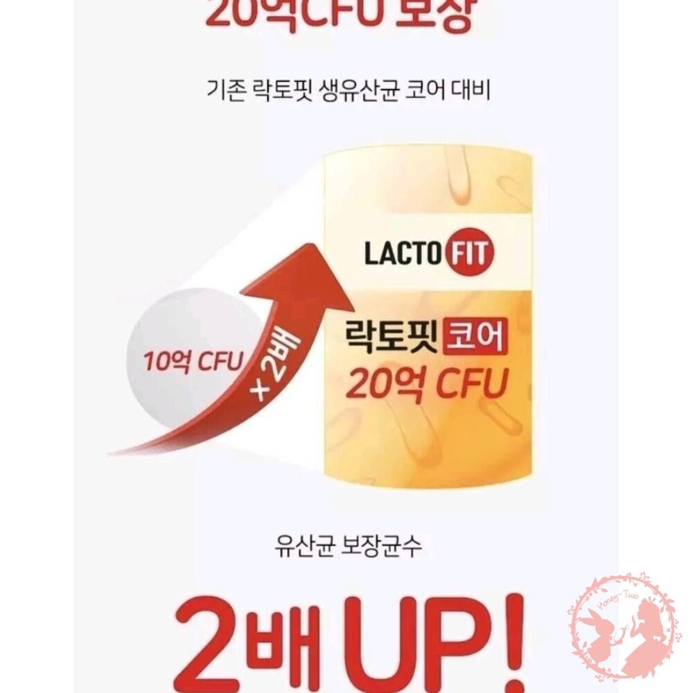 韓國直送  LACTO-FIT 鐘根堂益生菌 橘色 增強版 腸胃健康乳酸益生菌 2000mg orange 最新升級Up-細節圖5