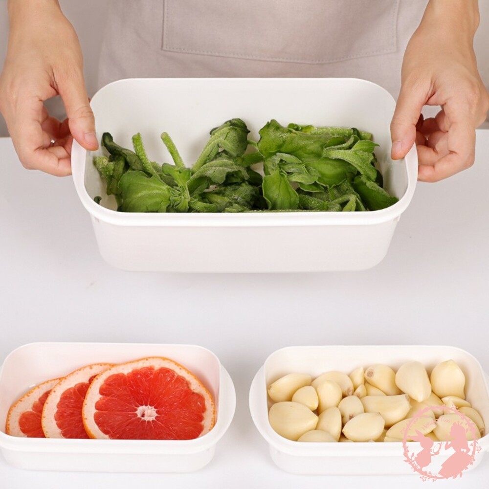 山田 YAMADA 日本製  WHITYPACK 保鮮盒-細節圖7