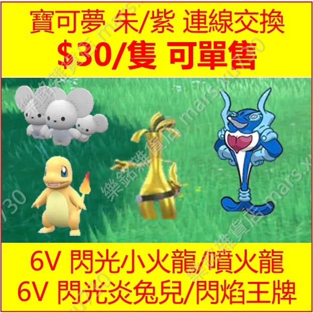 寶可夢 朱紫 百變怪 異國 6V 色違 客製 寶可夢 Switch 免NSO 連線交換 Pokemon 朱紫-細節圖5