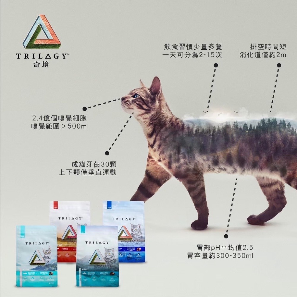 奇境貓飼料《寵杏貓》 🔥限時優惠🔥 無穀貓糧 300克 凍乾  無穀貓飼料 幼貓 成貓飼料 凍乾 凍乾貓糧 純境-細節圖4