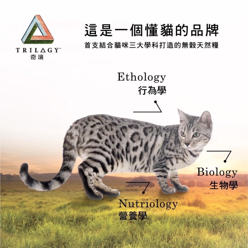 奇境貓飼料《寵杏貓》 🔥限時優惠🔥 無穀貓糧 300克 凍乾  無穀貓飼料 幼貓 成貓飼料 凍乾 凍乾貓糧 純境-細節圖5