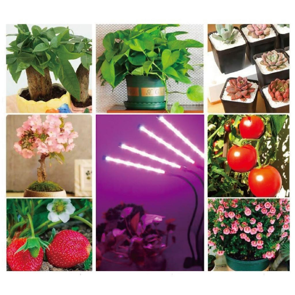 【現貨】全光譜植物燈 植物燈 植物生長燈 led 夾子燈 多肉燈 觀葉植物 USB 夾式 遙控款 可調光 三色LED-細節圖6