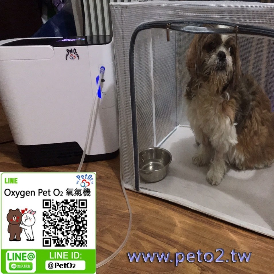 最受歡迎 台灣第一家專業寵物氧氣機 整套新款加倍氧量2J 適合肺炎心臟病的狗貓製氧機 請認明品牌網站 PetO2.tw-細節圖3