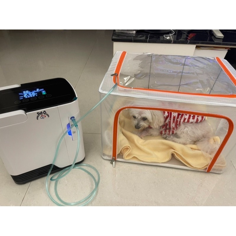 適合狗貓兔鼠鳥 寵物氧氣機 Pet O2 含氧氣箱(66L) ICU 溫濕度計 呼吸機 公司保固-細節圖8