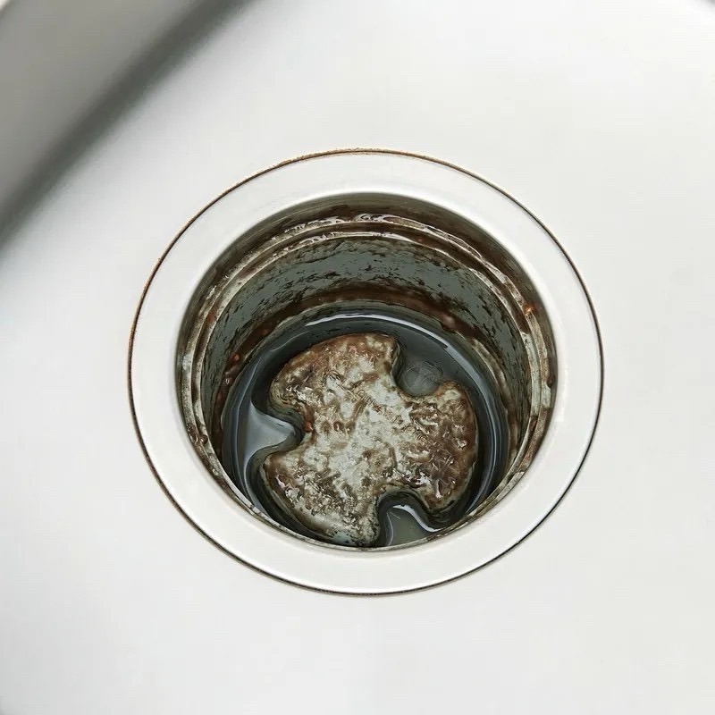 【寶評】日本 COGIT BIO廚房排水管泡沫清潔劑-細節圖4