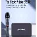 單麥克風
