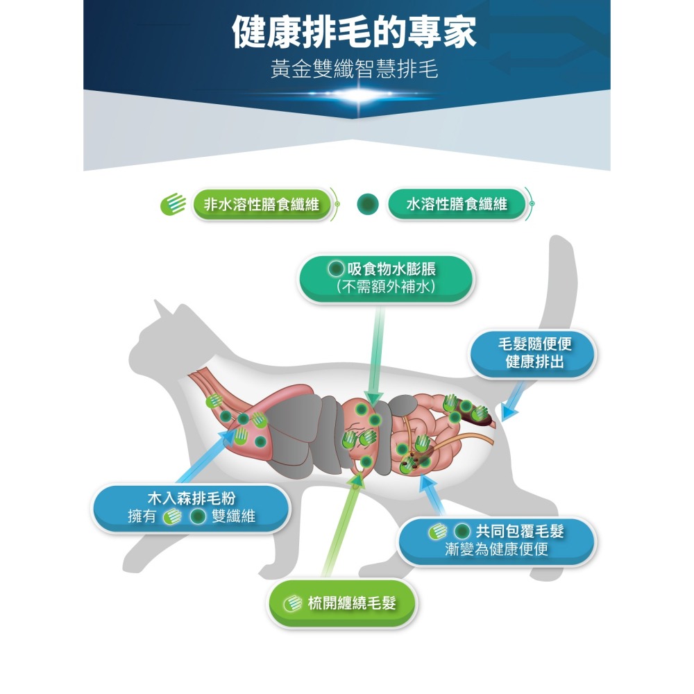 🌟全新效期、限時特價🌟木入森 貓咪排毛粉 起司  鮮蝦  貓草  15、30包/盒-細節圖11