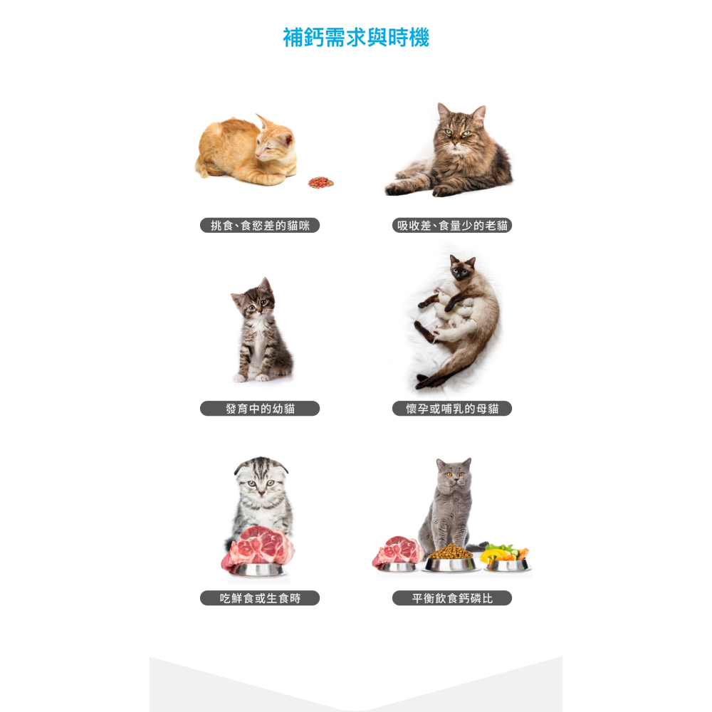 🌟全新效期、限時特價🌟木入森 D藻鈣 犬用、貓用 1gX30包/盒-細節圖5