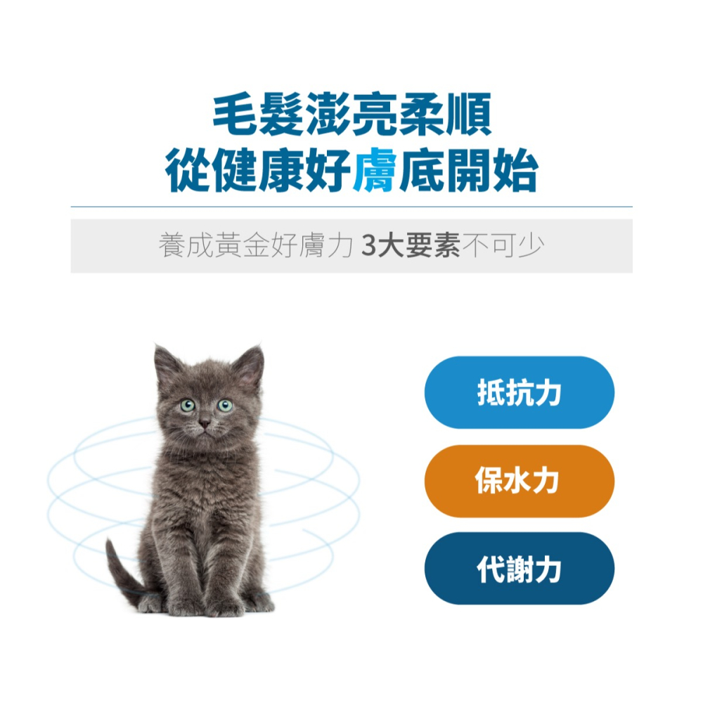 🌟全新效期、限時特價🌟木入森 膚立好 貓咪 25、50顆/盒-細節圖7