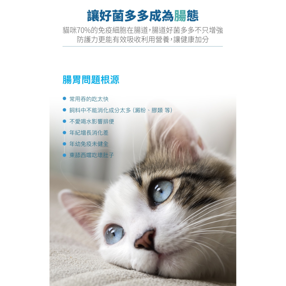 🌟全新效期、限時特價🌟木入森 貓咪活菌寶 15、30入/盒-細節圖2