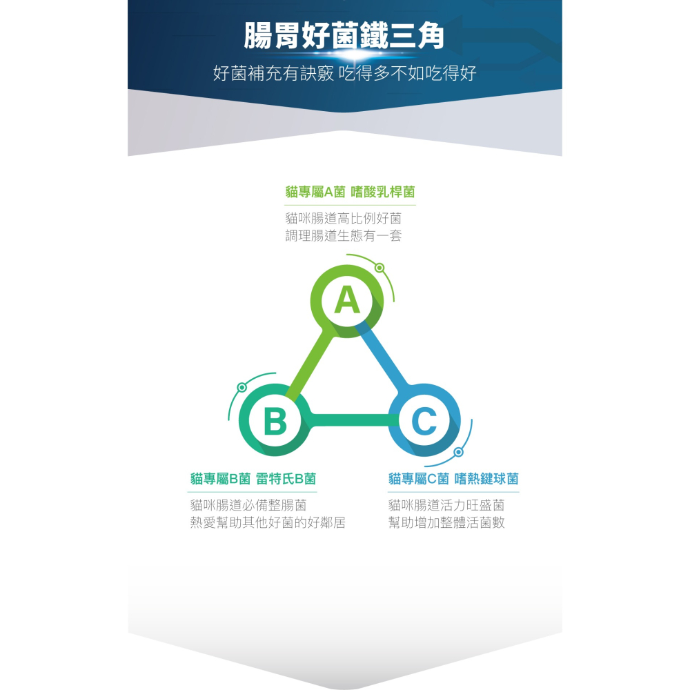 🌟全新效期、限時特價🌟木入森 貓咪活菌寶 15、30入/盒-細節圖9