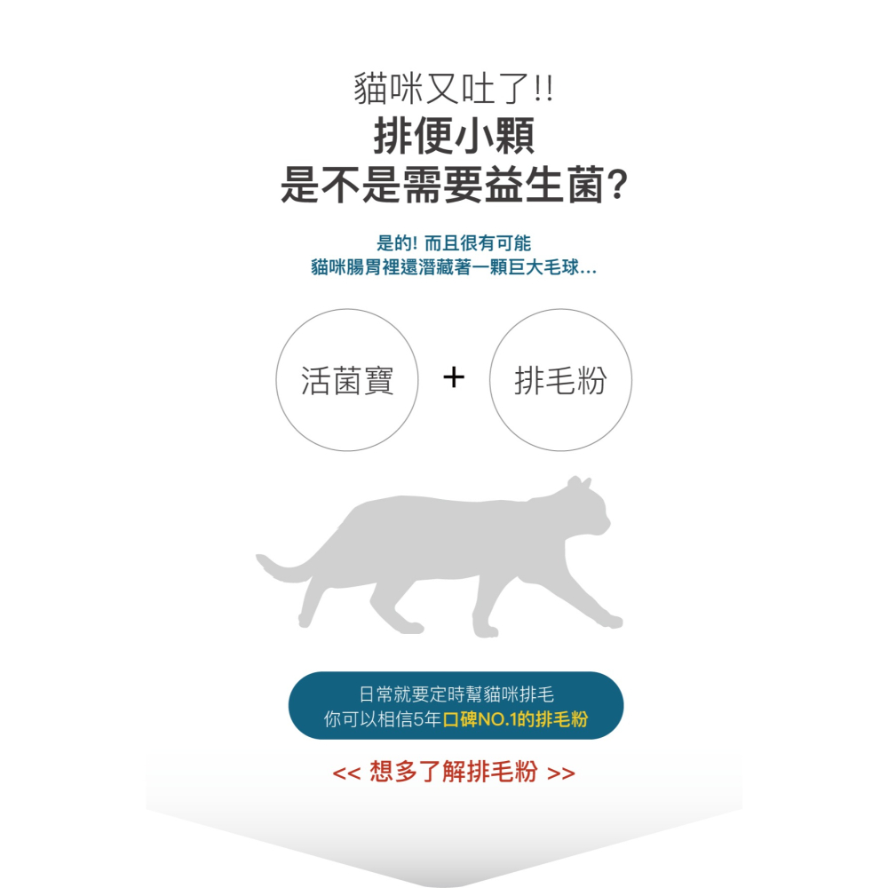 🌟全新效期、限時特價🌟木入森 貓咪活菌寶 15、30入/盒-細節圖10