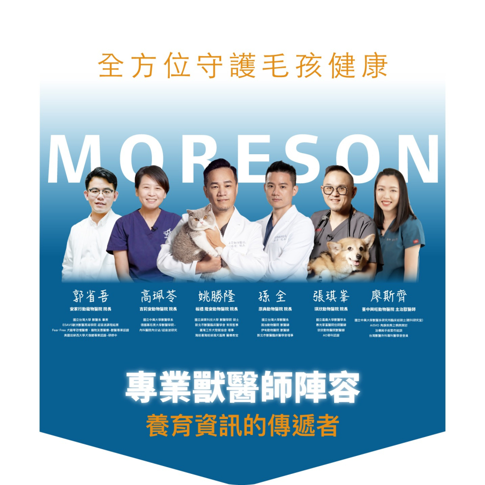 🌟全新效期、限時特價🌟木入森 貓咪護疫升 30、60顆/盒-細節圖2