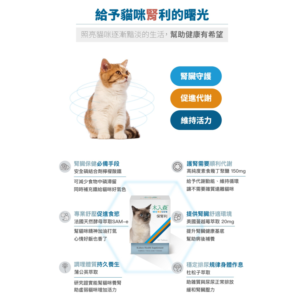 🌟全新效期、限時特價🌟木入森 貓咪保腎利 30、60顆/盒-細節圖7