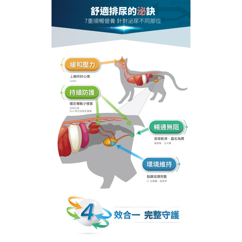 🌟全新效期、限時特價🌟木入森 貓咪好規泌 30、60顆/盒-細節圖9