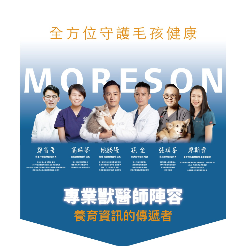 🌟全新效期、限時特價🌟木入森 有關膝 貓用 30、60顆/盒-細節圖2