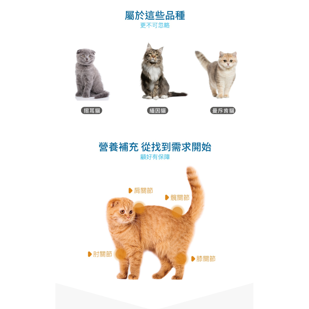 🌟全新效期、限時特價🌟木入森 有關膝 貓用 30、60顆/盒-細節圖5