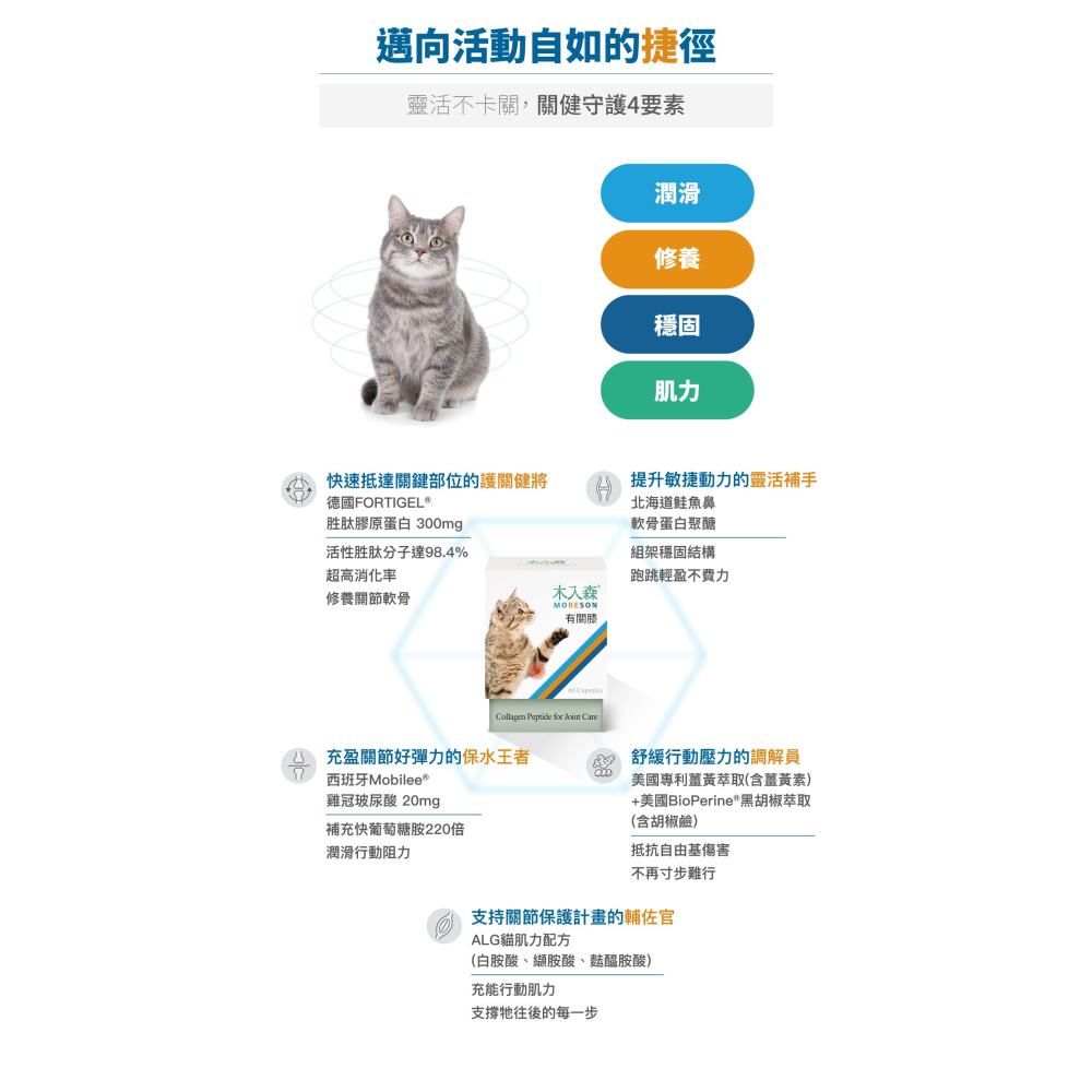 🌟全新效期、限時特價🌟木入森 有關膝 貓用 30、60顆/盒-細節圖8