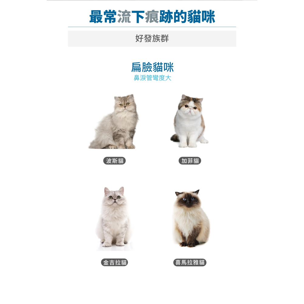 🌟全新效期、限時特價🌟木入森 痕淨白 貓用 30、60顆/盒-細節圖4