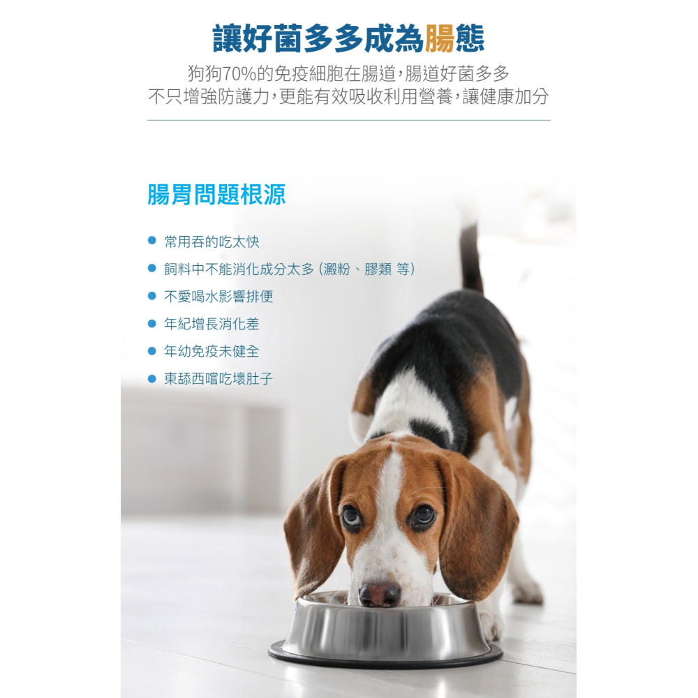 🌟全新效期、限時特價🌟木入森 犬用變不臭 15、30入/盒-細節圖3