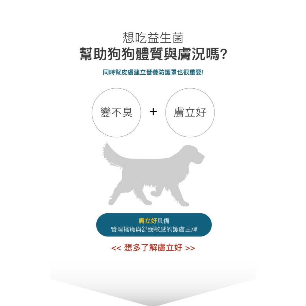 🌟全新效期、限時特價🌟木入森 犬用變不臭 15、30入/盒-細節圖10